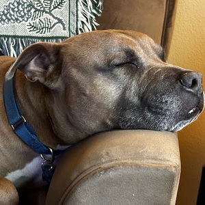 Meet your Posher, Patrick